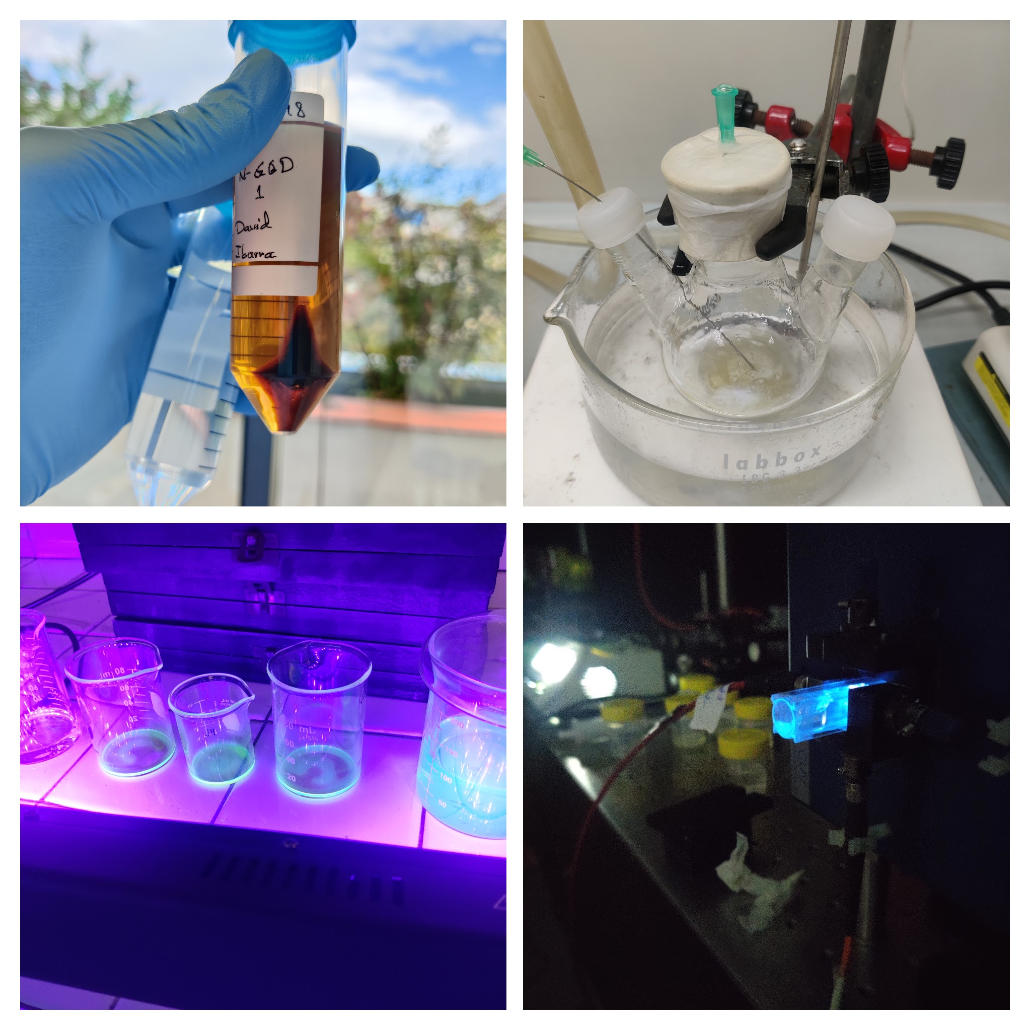 CSIC Research